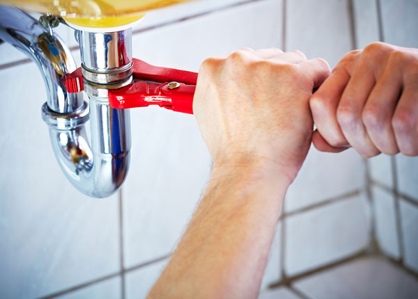 About Lemon Grove Plumbers